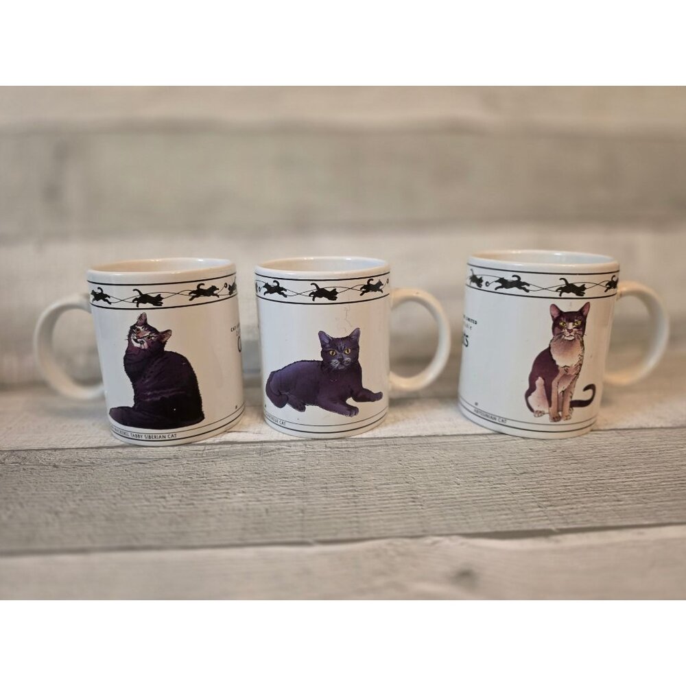 Set Of 3 Ceramic Cat-Themed Mugs By Houston Harvest Cat Lovers